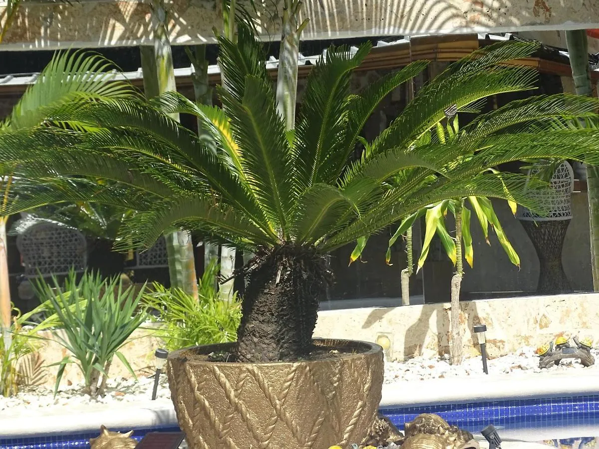 Hotel Casa Bonita Sosua